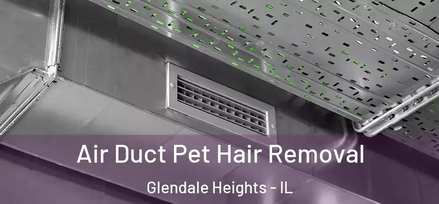 Air Duct Pet Hair Removal Glendale Heights - IL