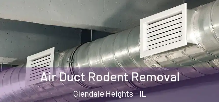 Air Duct Rodent Removal Glendale Heights - IL