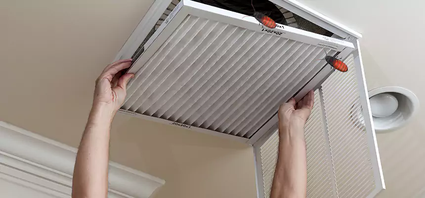 Preventive Cockroach-Proofing for Ducts in Glendale Heights