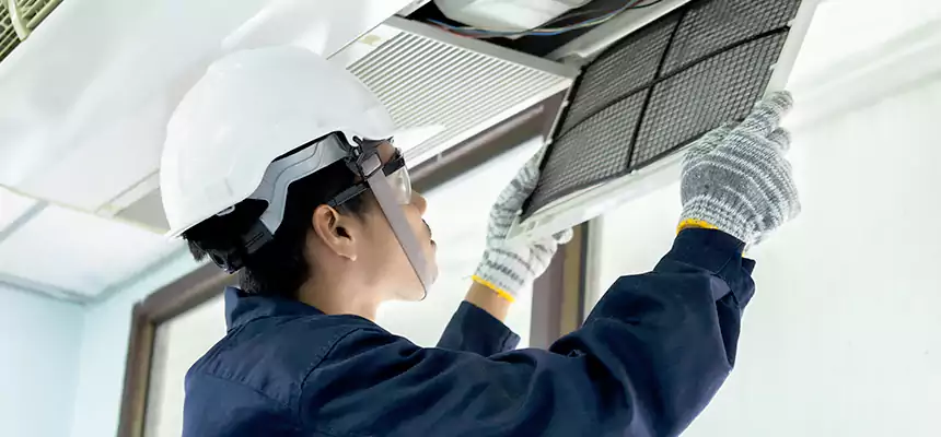 Our Mold & Mildew Removal from Air Ducts Services in Glendale Heights, IL