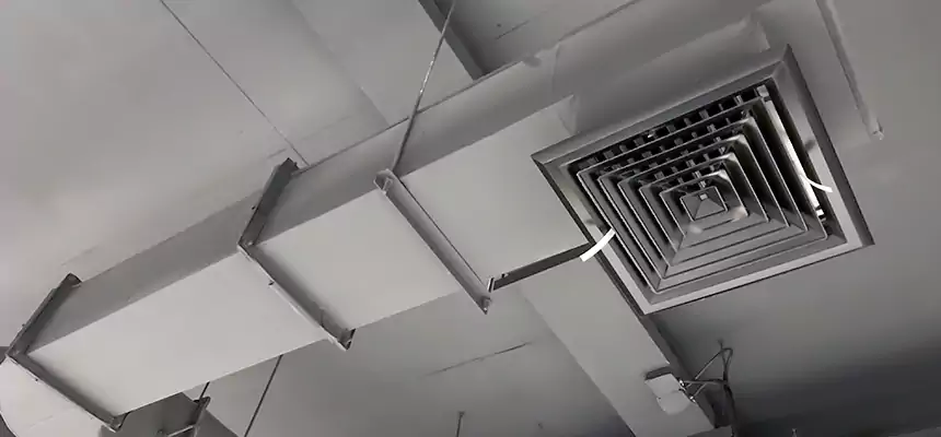 Our Pest Removal From Ducts Services in Glendale Heights, IL