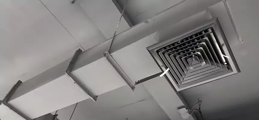 Our Rodent Droppings In Vents Services in Glendale Heights, IL