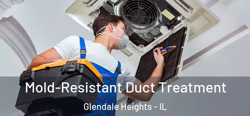  Mold-Resistant Duct Treatment Glendale Heights - IL