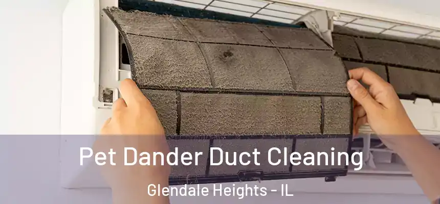  Pet Dander Duct Cleaning Glendale Heights - IL