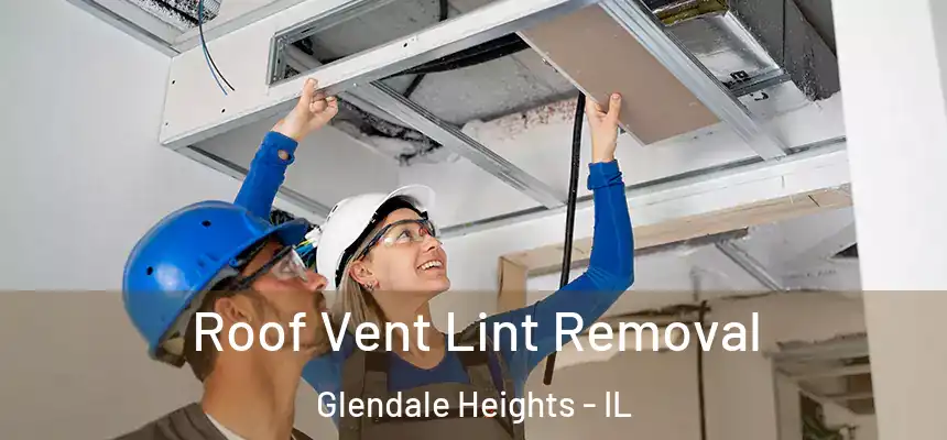 Roof Vent Lint Removal Glendale Heights - IL