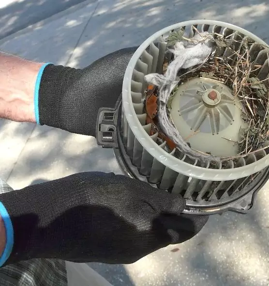 About Air Duct Mice Removal in Glendale Heights, IL