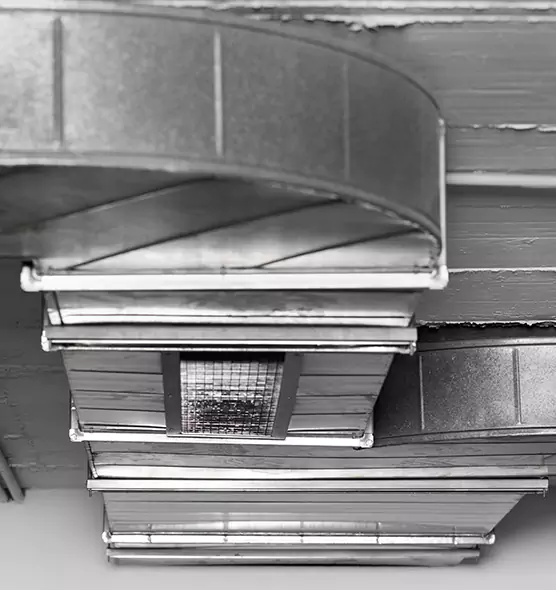 Professional Air Duct Pest Removal in Glendale Heights, IL