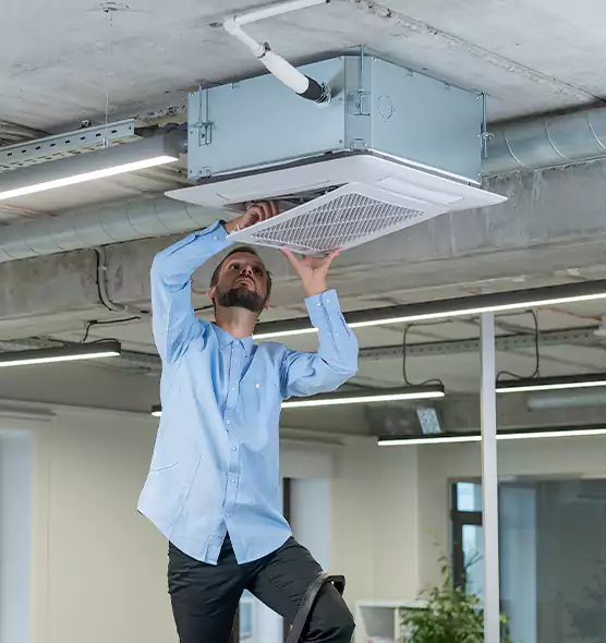 Advanced Rodent Droppings In Vents in Glendale Heights, IL