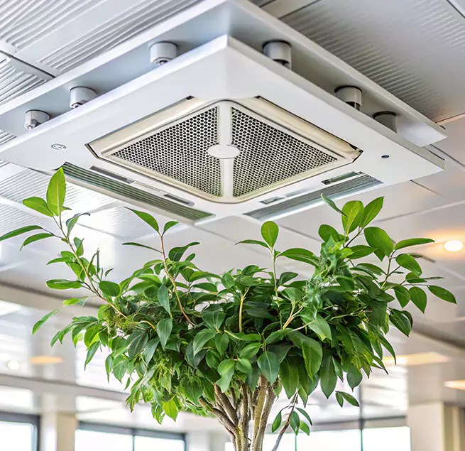 Why Homeowners & Businesses Trust Us in Glendale Heights, IL?