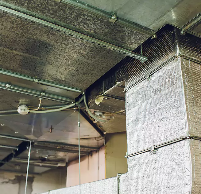 Why Homeowners & Businesses Trust Us in Glendale Heights, IL?