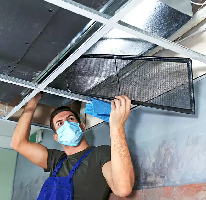 Why Homeowners Businesses Trust Us in Glendale Heights, IL